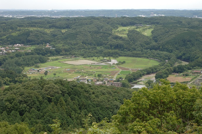 日和田山から眺めた巾着田