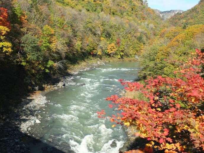 日高町の清流「沙流川」