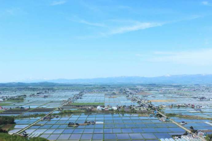 上空から見た鏡面水田