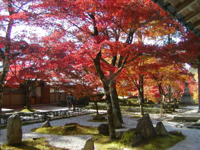 大本山永源寺の紅葉