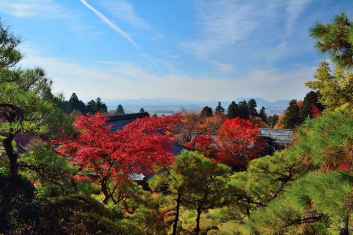 百済寺の展望台