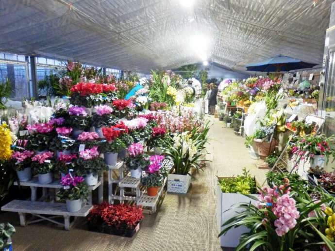 土方洋蘭いちご園の花屋の店内