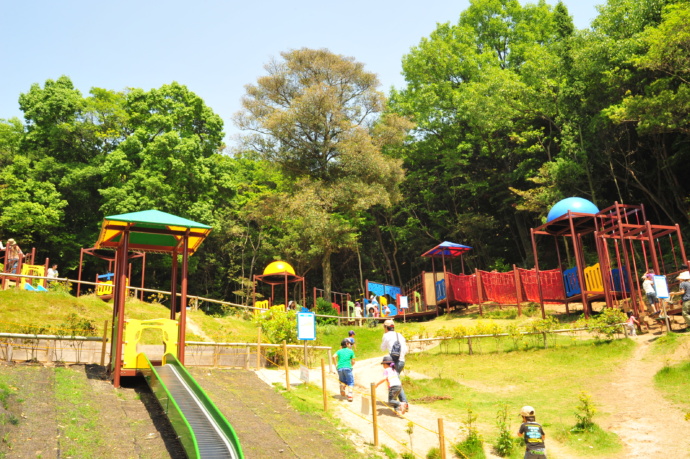 山口県光市にある冠山総合公園「こどもの森」の写真