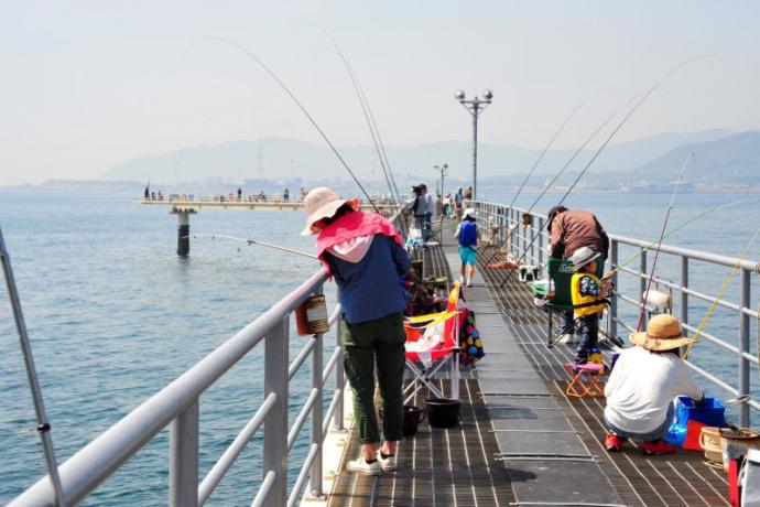 山口県光市にある「フィッシングパーク光」で海釣りする人の写真