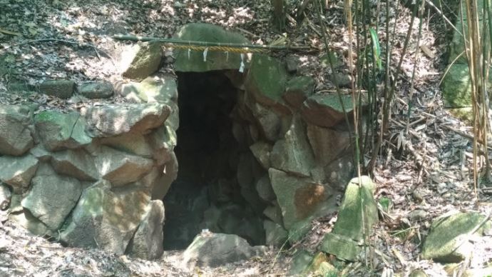 氷室神社に訪れた場合の見どころなどはありますか？