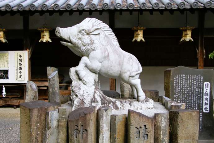 馬見岡綿向神社の神使である猪