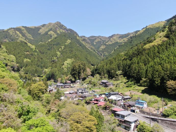 檜原村に広がる豊かな山林