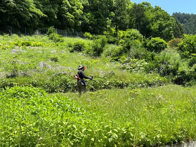 檜原村の地域おこし協力隊の方が農作業をする様子