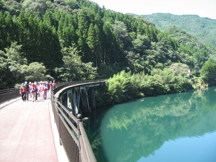 宮崎県日之影町の森林セラピーの様子