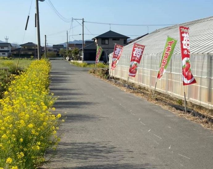 デートでの来園を考えているカップルへメッセージ