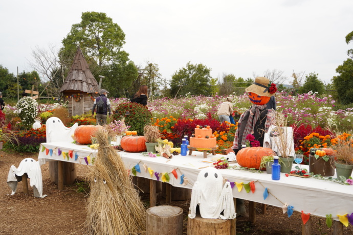 花菜ガーデンのハロウィンイベント