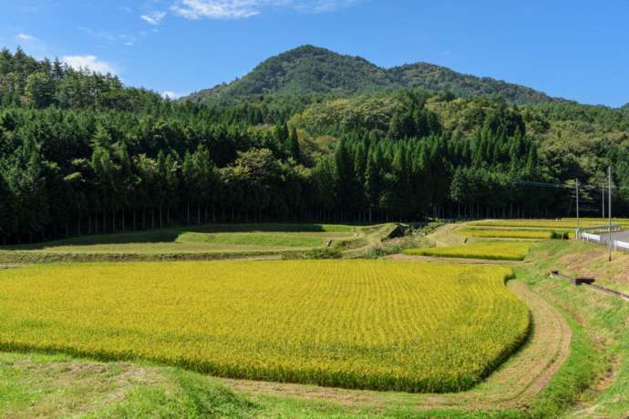 箒平地区の里山風景