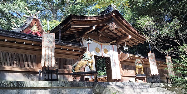 主祭神を祀る廣瀬大社の本殿