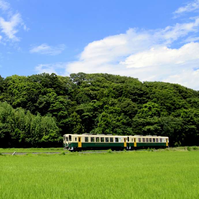 田園風景を海浜鉄道が走る様子