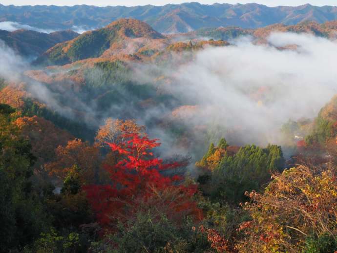 常陸大宮市の雲海の様子