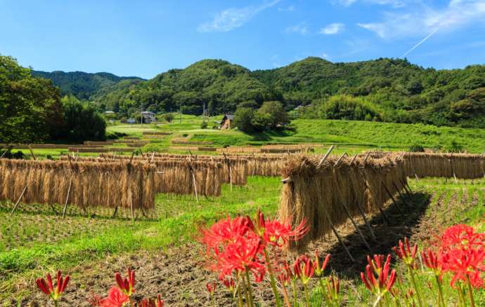 常陸太田市に広がる田園風景