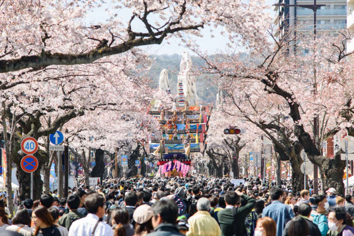 日立さくらまつりの目玉である「日立風流物」