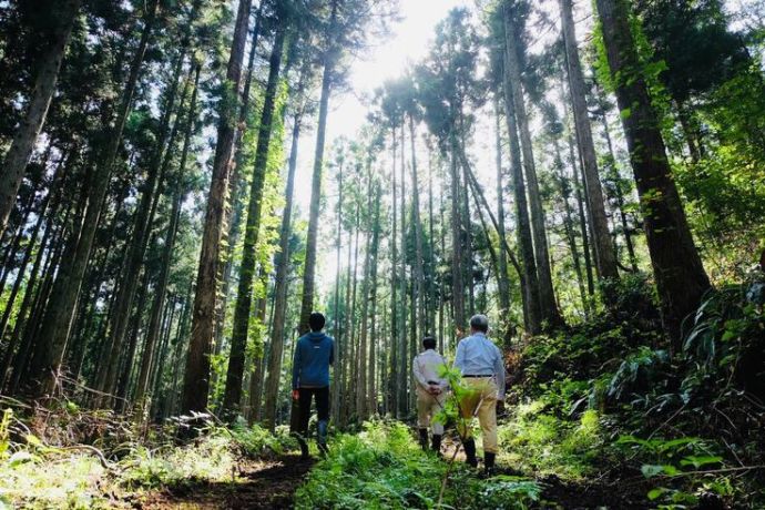 宝達山のブナ林を見学する移住希望者の図