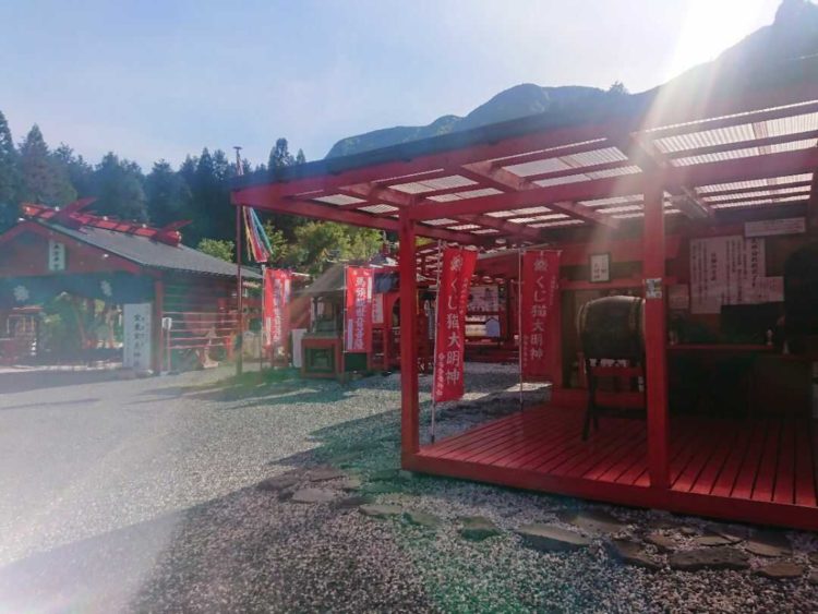 熊本県阿蘇郡の宝来宝来神社のくじ猫大明神の拝殿