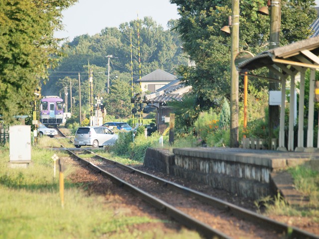 田園地帯の中に佇む「北条鉄道」の小さな駅と走り去る単行気動車