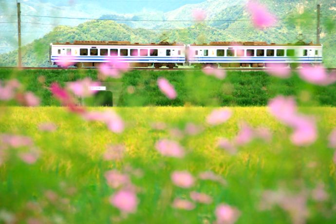 ほくほく線：秋の風景