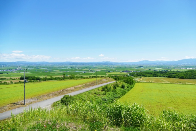 北竜町の田園風景