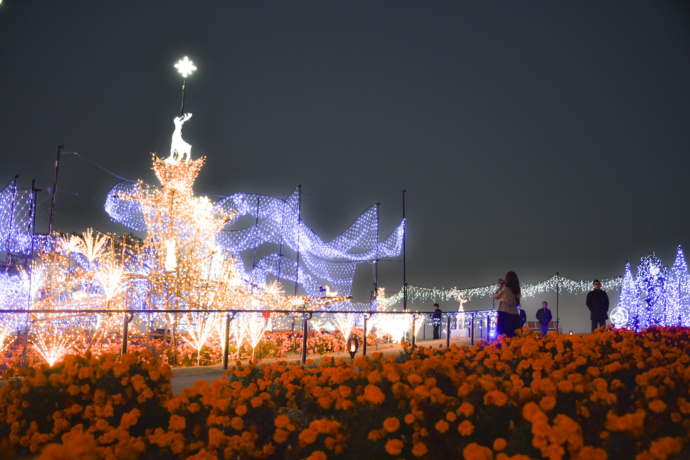 マリーゴールドの丘公園のイルミネーション