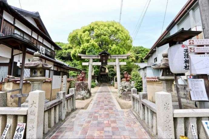 「天津（あまつ）神社」の参道と鳥居