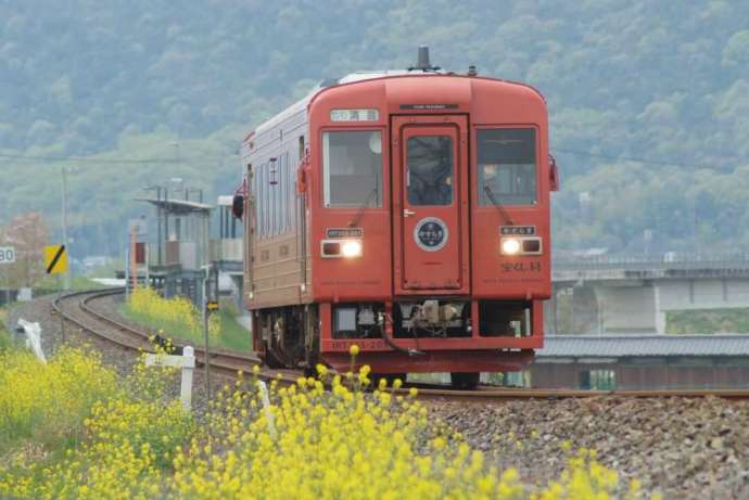 井原鉄道「夢やすらぎ号」が走る様子