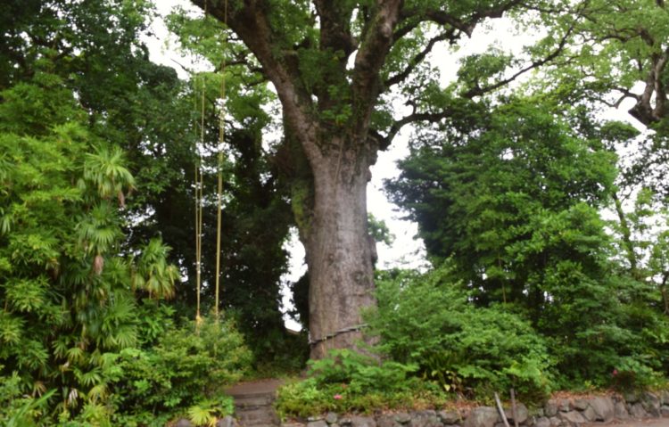 鹿児島県指宿市にある縁結びと安産祈願の揖宿神社