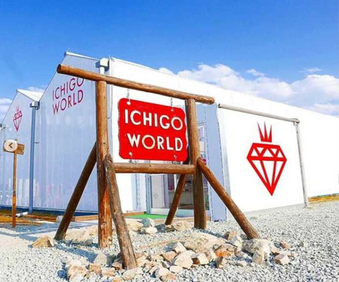 ICHIGO WORLDのおしゃれな外観