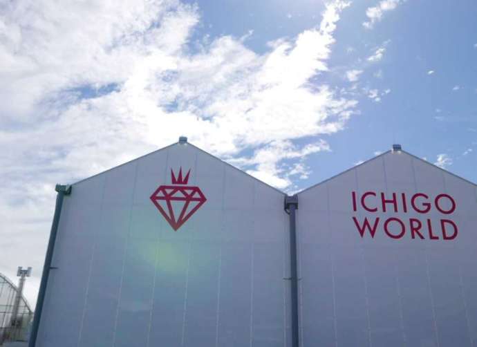 ICHIGO WORLDの外観と空
