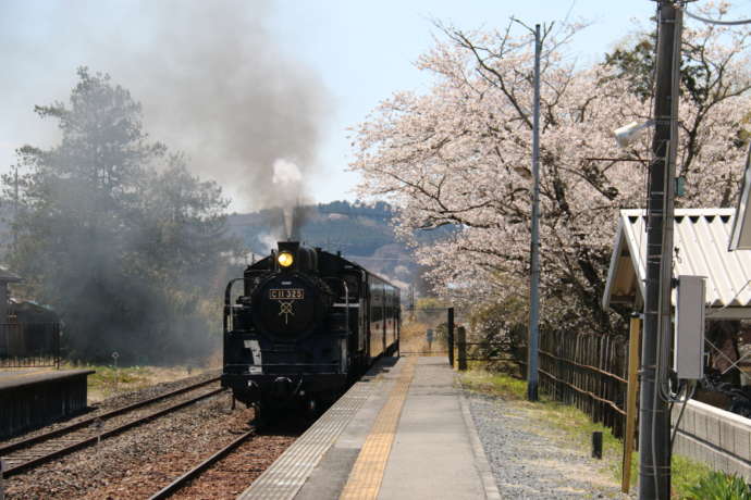 市貝町の真岡鐵道を走るSL