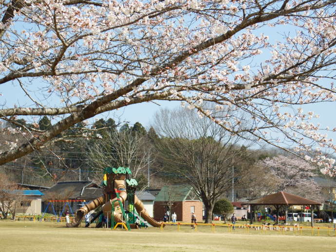 市貝町のさわやか広場の様子