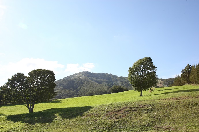 奥中山高原