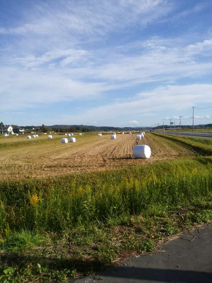 一関市に広がる田園風景