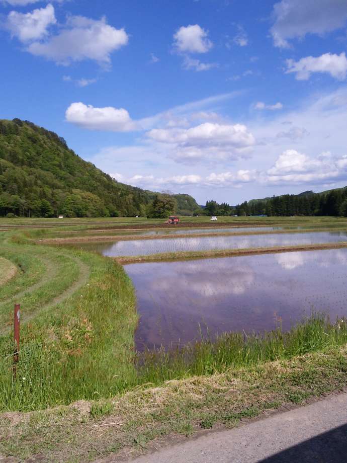 一関市に広がる田んぼ