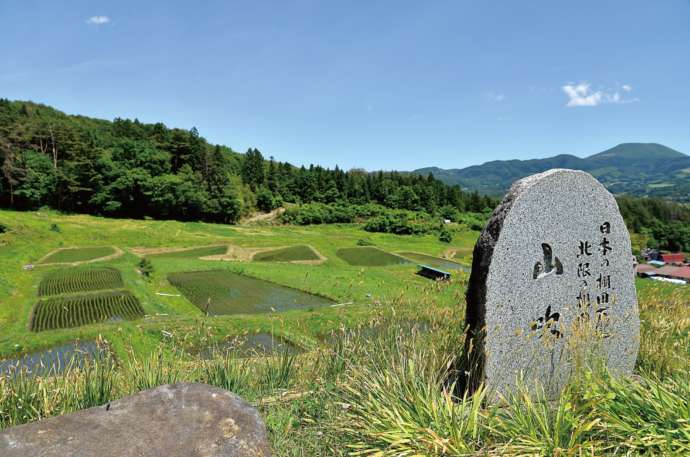 田植えが完了した山吹棚田