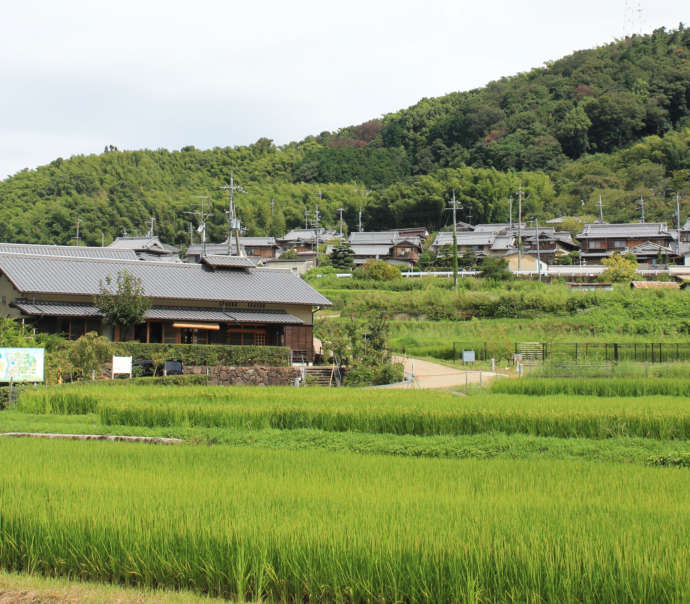 京都府井手町のまちづくりセンター椿坂