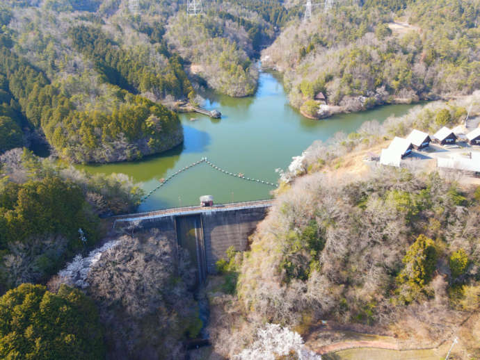 京都府井手町の大正池