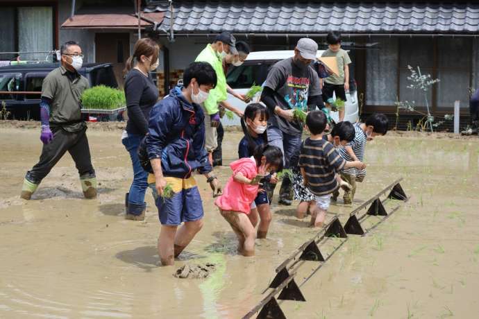 伊賀市の田植え体験