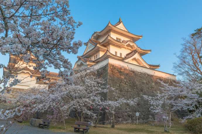 伊賀市の伊賀上野城