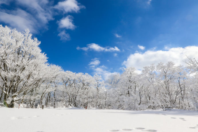 一面の雪景色となった大万木山（おおよろぎさん）山頂