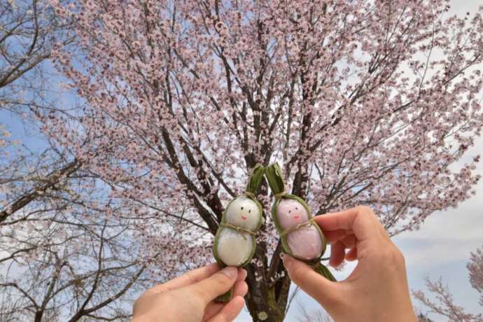 桜を背景にした「笹雪だるま」