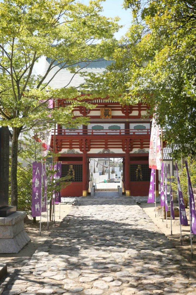 新緑の季節の飯野八幡宮参道からの楼門