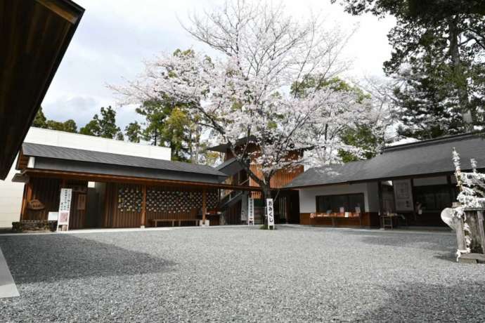 井伊谷宮の史料館