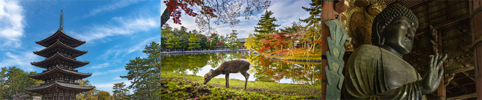 奈良県の特徴イメージ画像