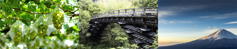 山梨県の特徴イメージ画像