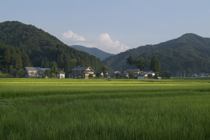 田畑に囲まれた池田町の風景