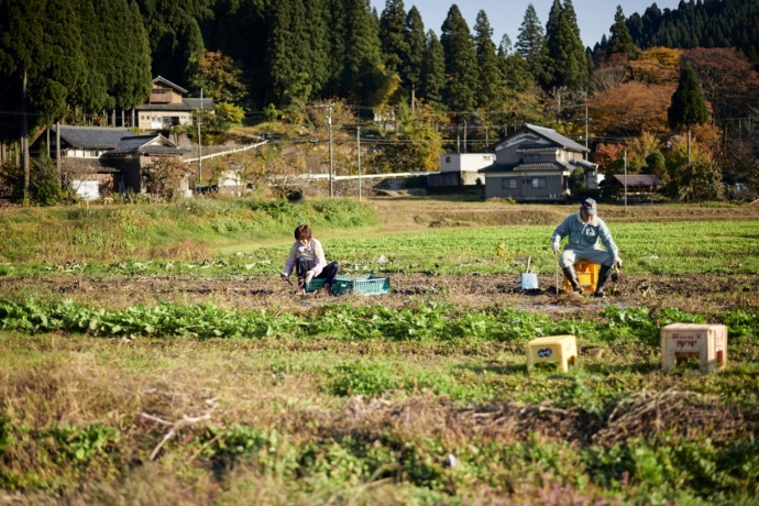 畑作業をする人々